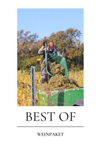Weinpaket BEST OF WEINRIEDER